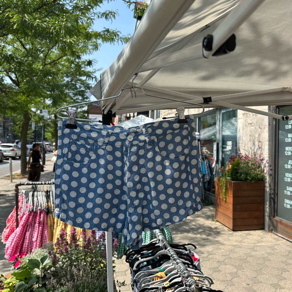 Vintage Blue and White Polka Dot Shorts